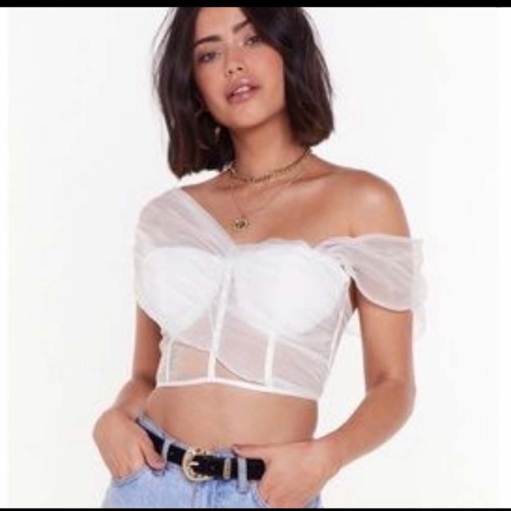 Nasty Gal Don't Hate the Layer Organza Crop Top 6 NWT